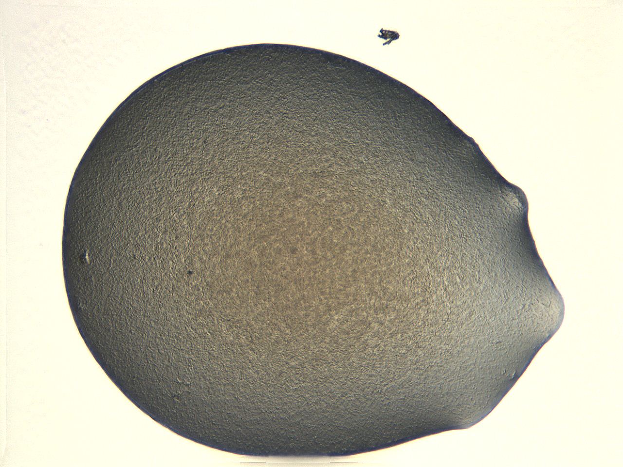 04i5_B3_ImagerDefaults_3.jpg