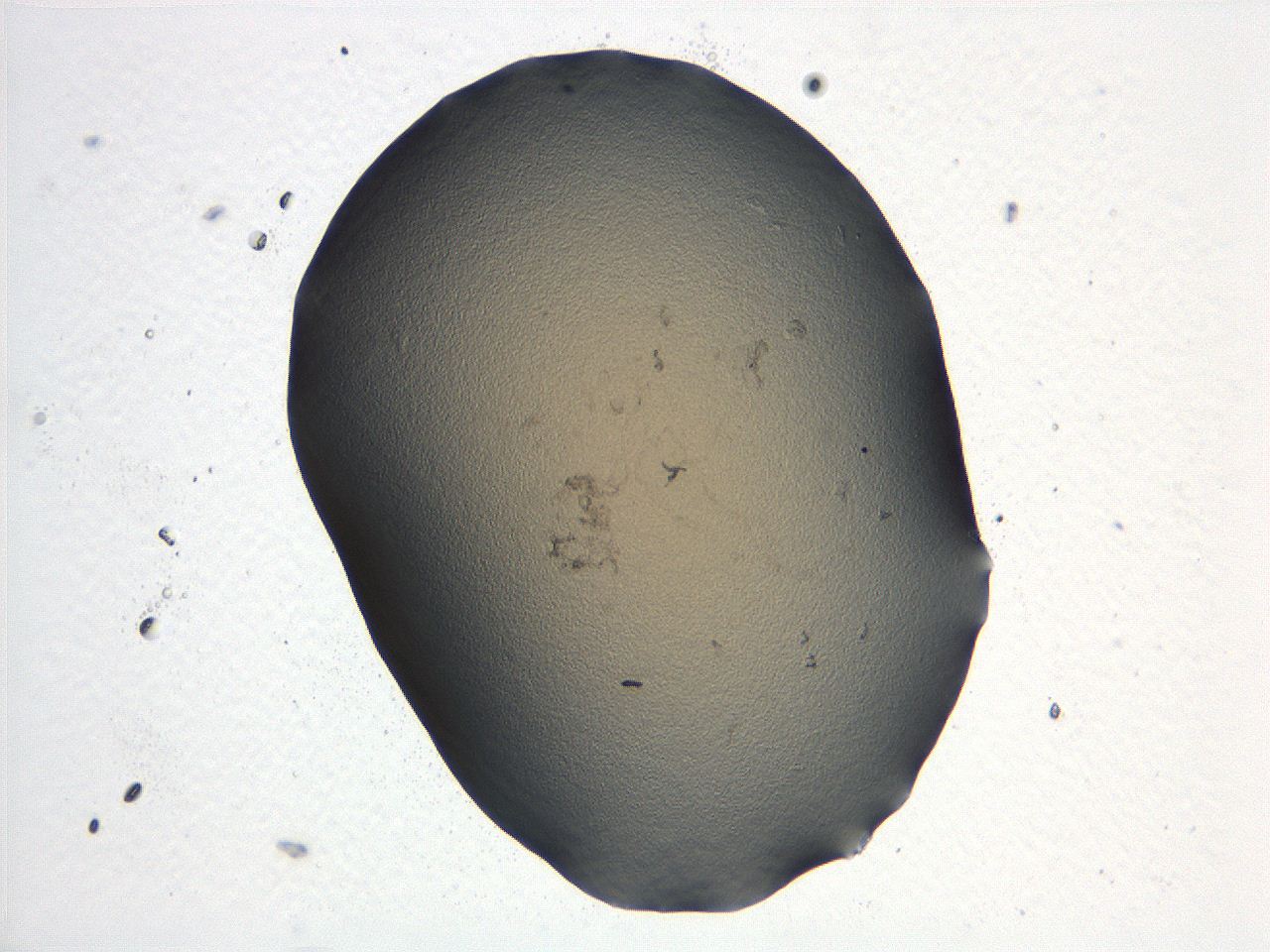 04i5_B11_ImagerDefaults_3.jpg