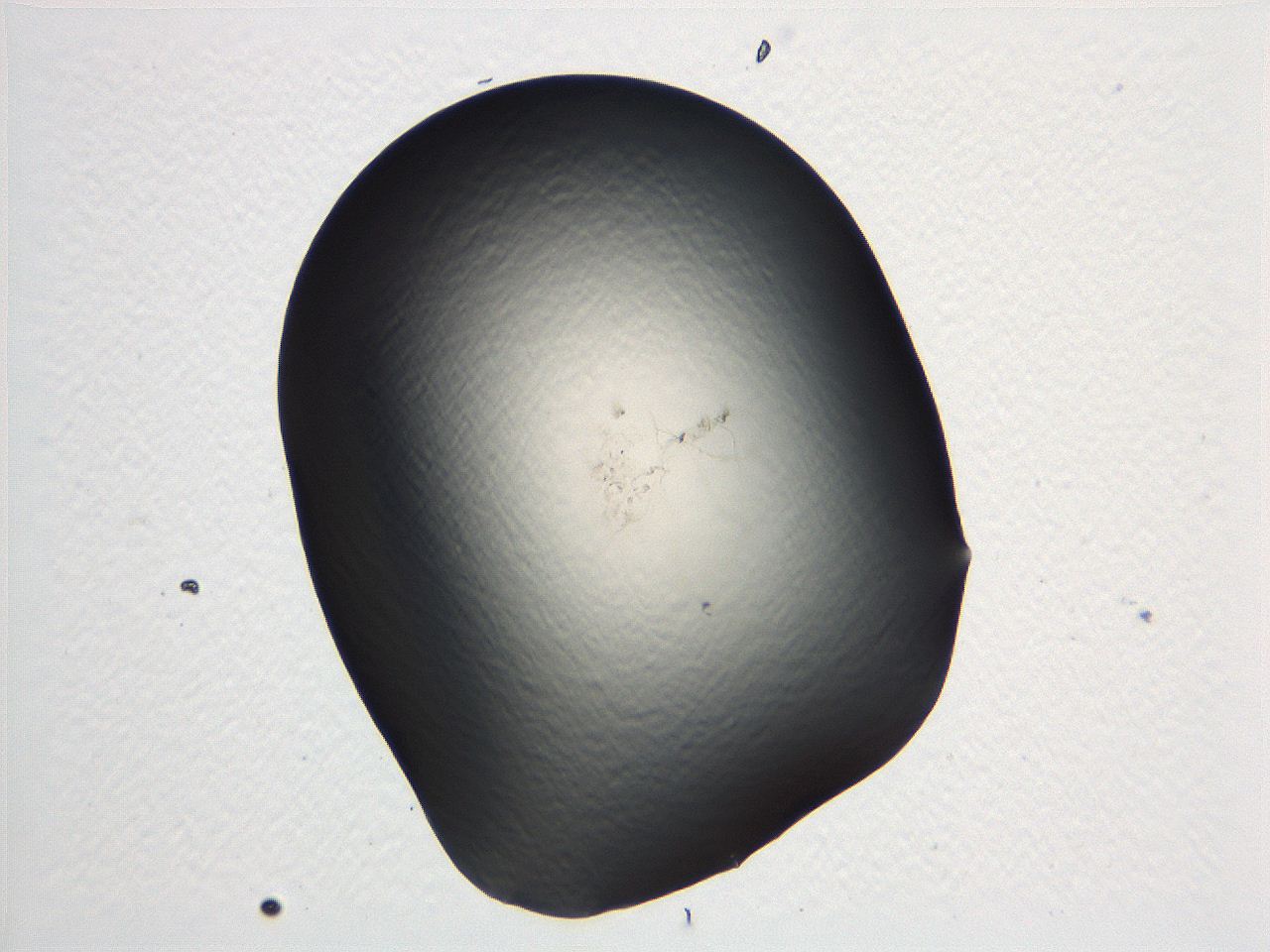 04i5_B12_ImagerDefaults_0.jpg