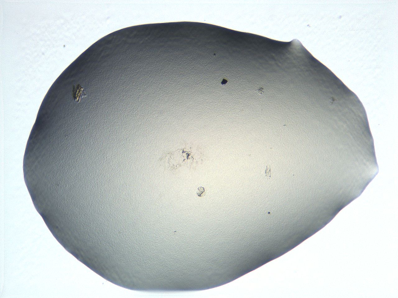 04i5_C1_ImagerDefaults_0.jpg