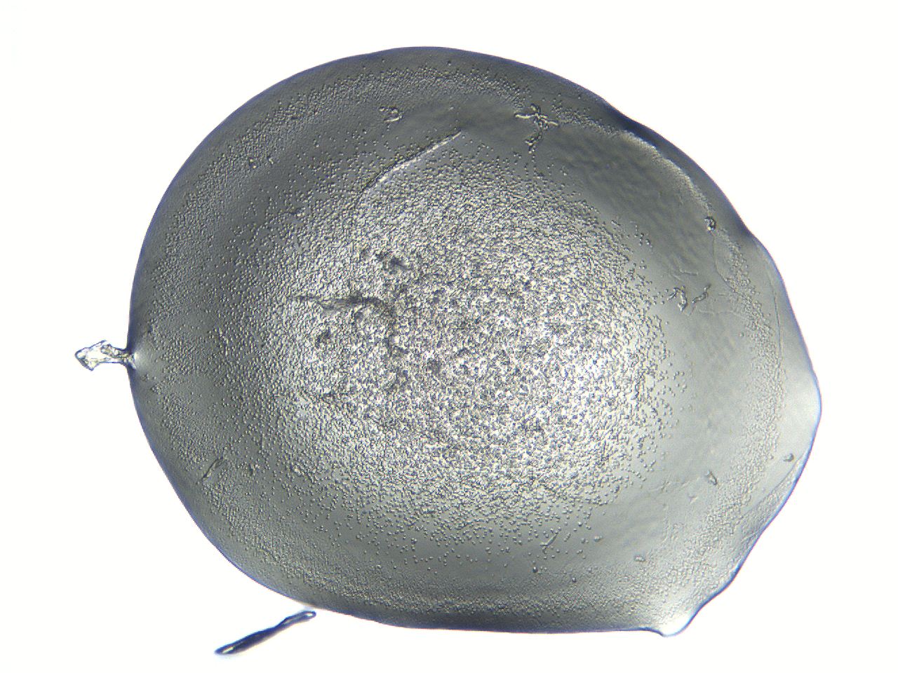 04i5_C4_ImagerDefaults_3.jpg