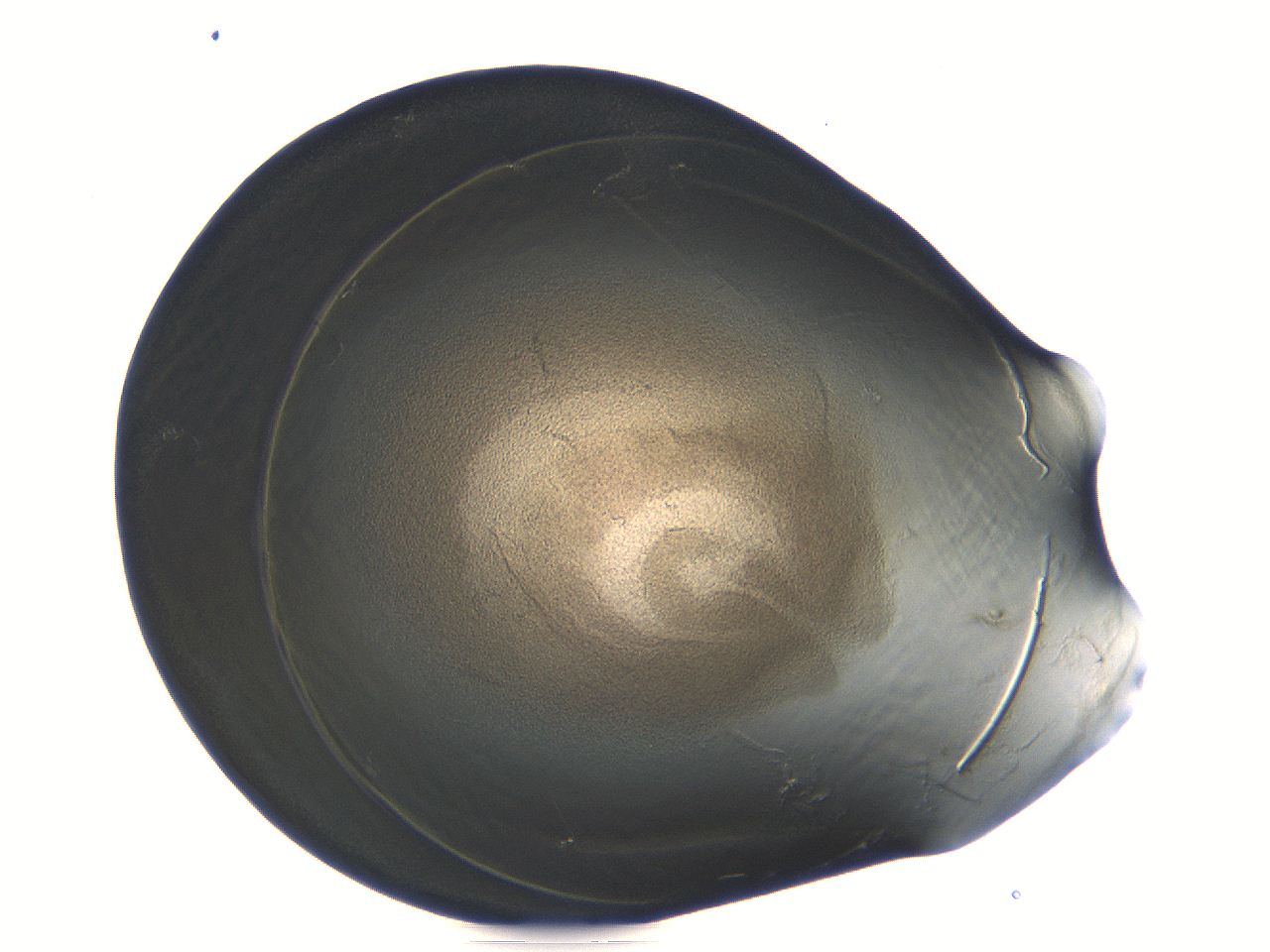 04i5_C6_ImagerDefaults_3.jpg