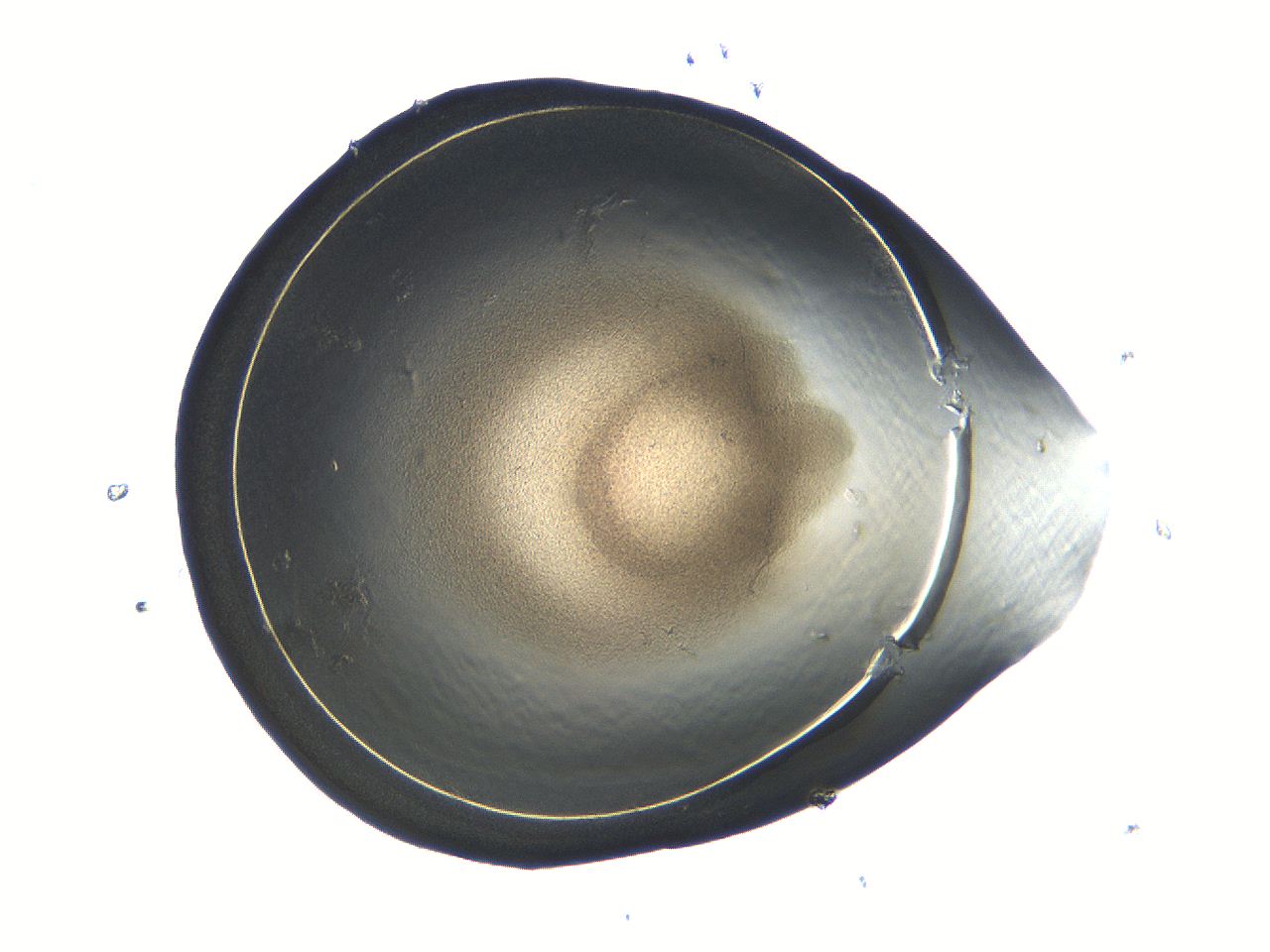 04i5_C8_ImagerDefaults_3.jpg