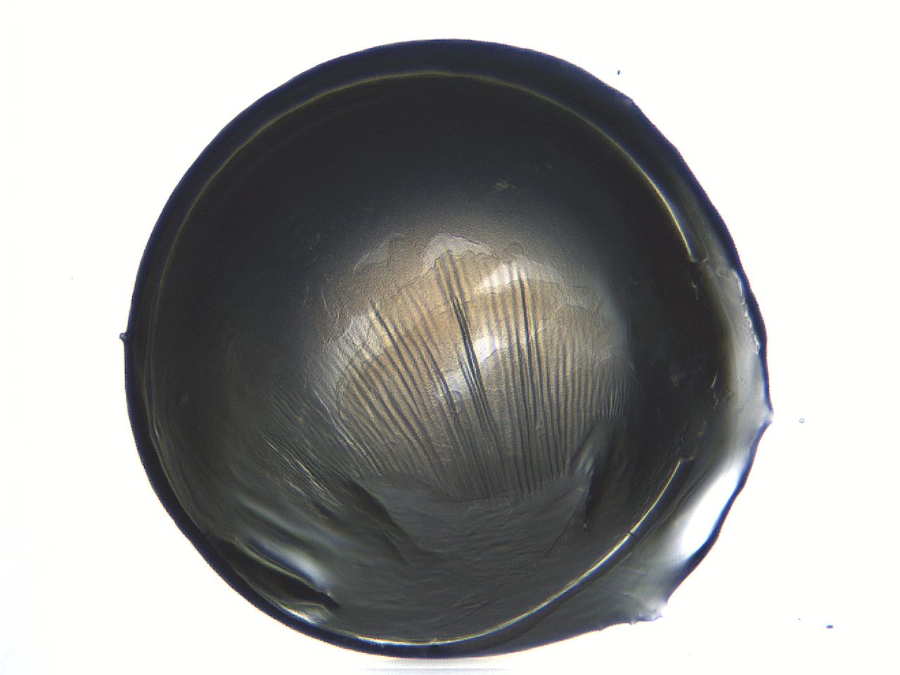 04i5_C10_ImagerDefaults_3.jpg