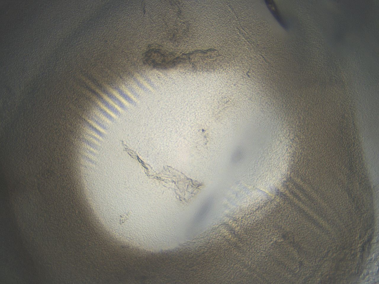 04i5_C11_ImagerDefaults_3.jpg