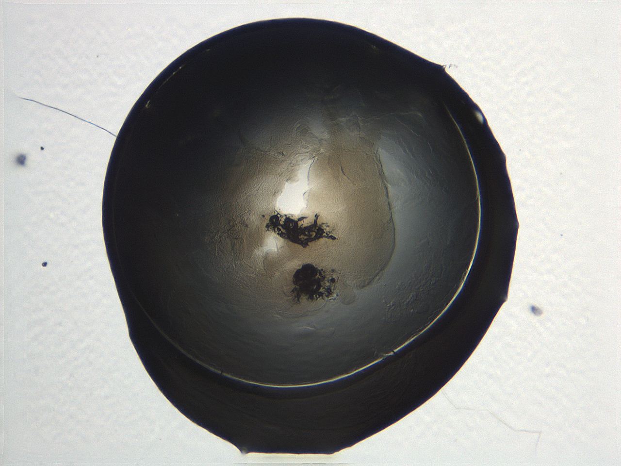 04i5_C12_ImagerDefaults_3.jpg