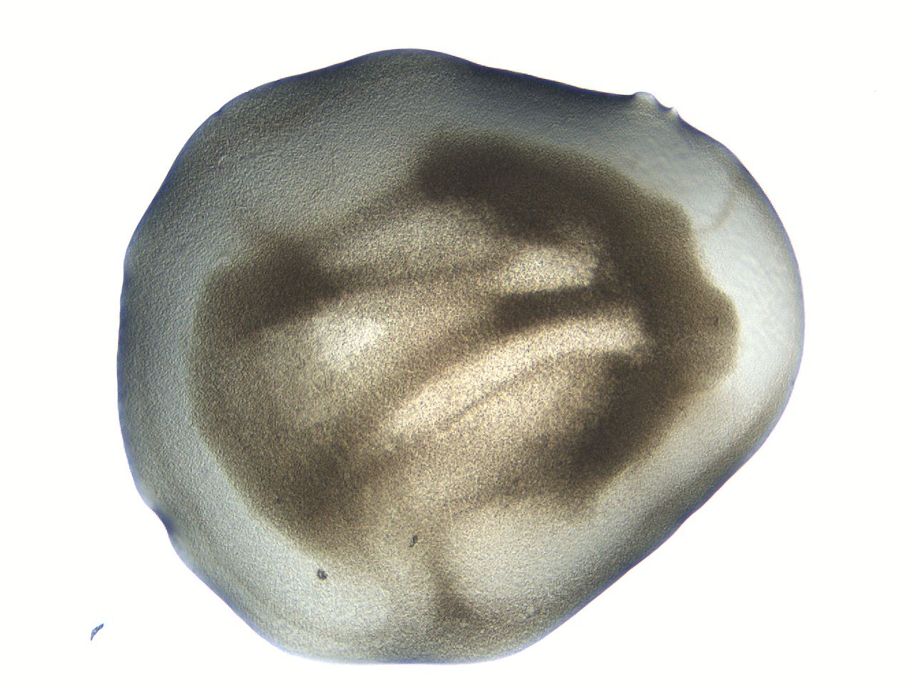 04i5_D1_ImagerDefaults_3.jpg