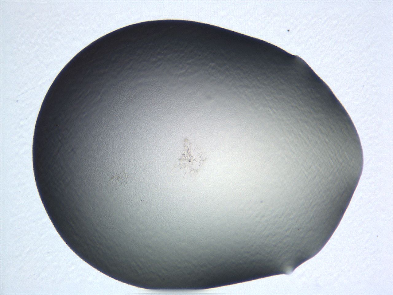 04i5_D2_ImagerDefaults_0.jpg