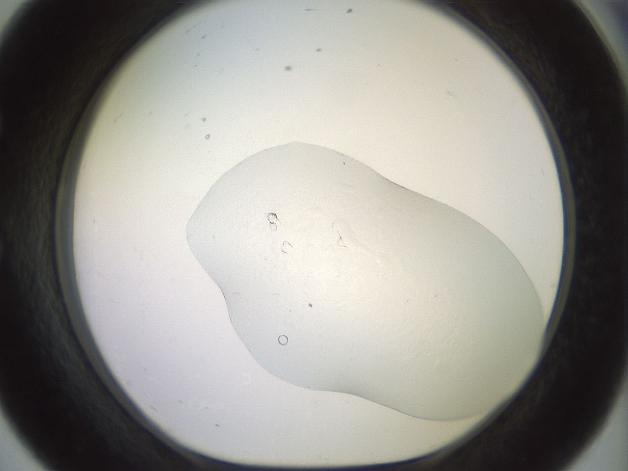 folderID414_plateID3414_batchID19873_wellNum56_profileID1_d1_r303001_ef.jpg