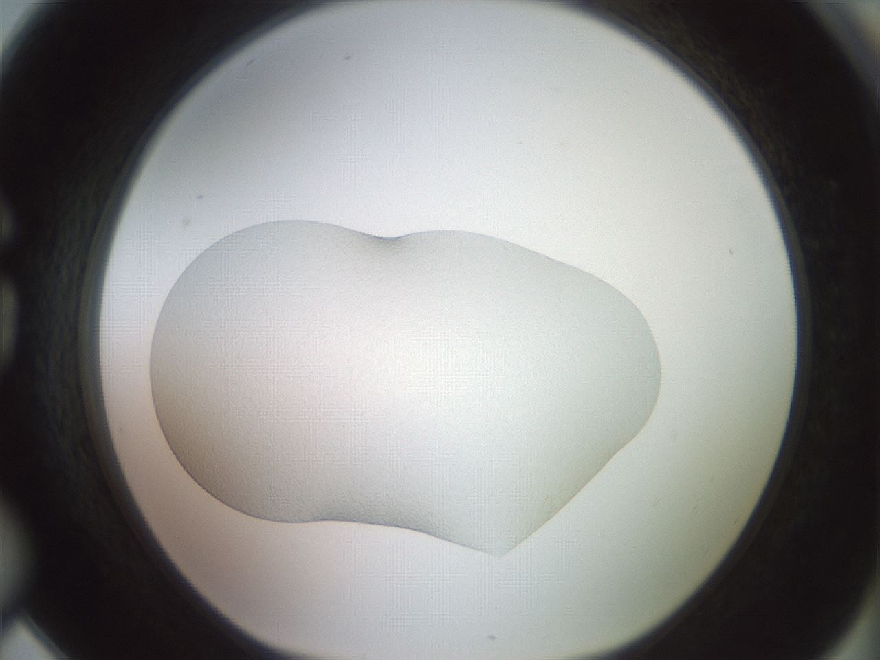 folderID414_plateID3414_batchID19873_wellNum78_profileID1_d1_r303023_ef.jpg