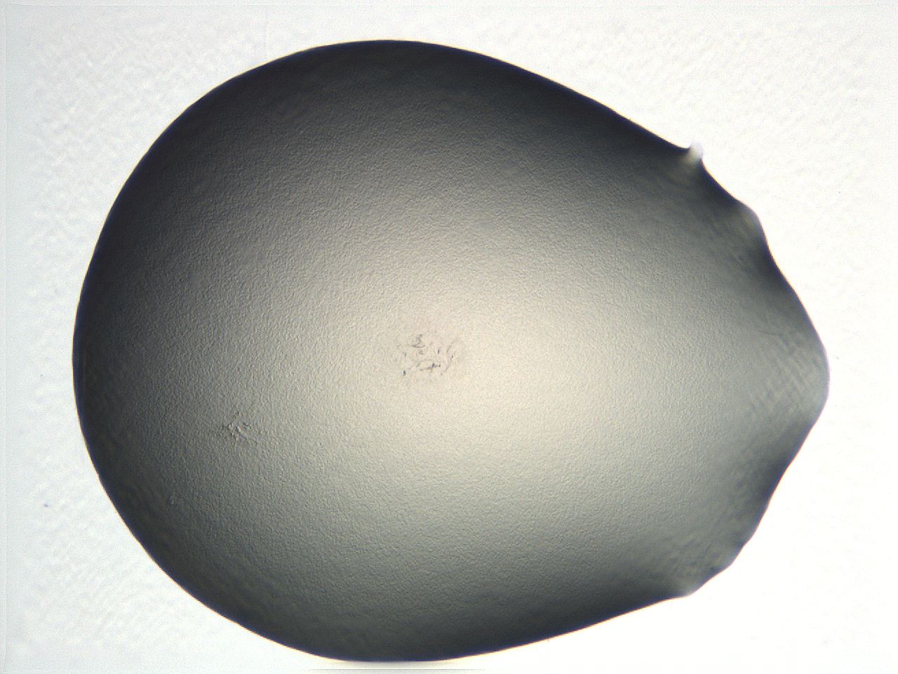 04i5_D3_ImagerDefaults_0.jpg