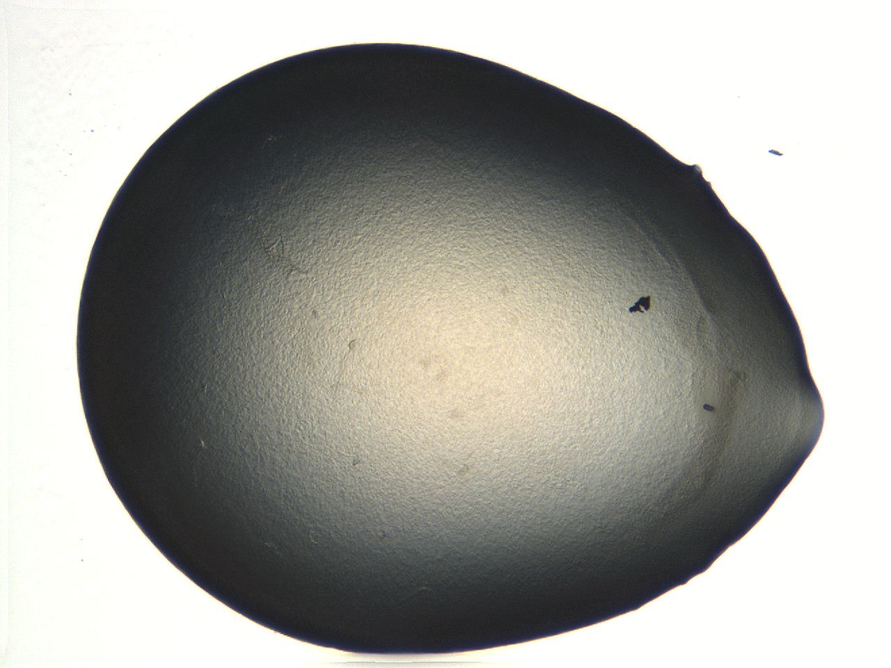 04i5_D4_ImagerDefaults_3.jpg