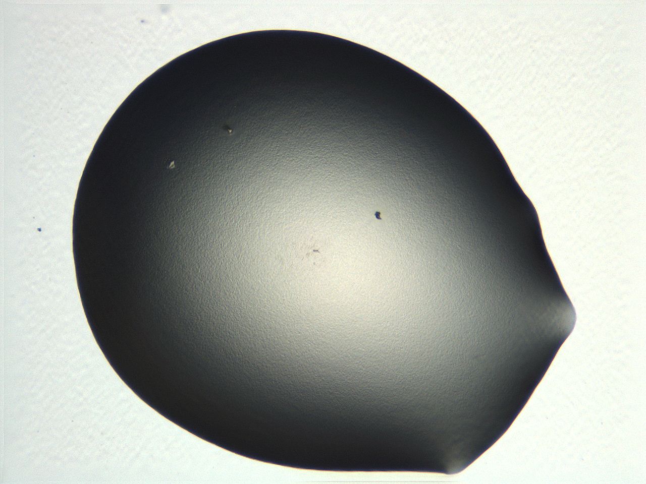 04i5_D5_ImagerDefaults_0.jpg