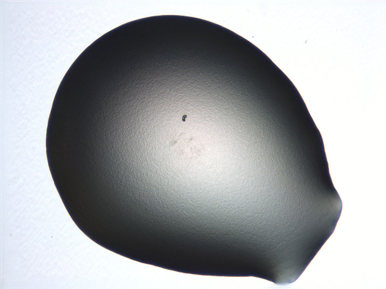04i5_D6_ImagerDefaults_0.jpg