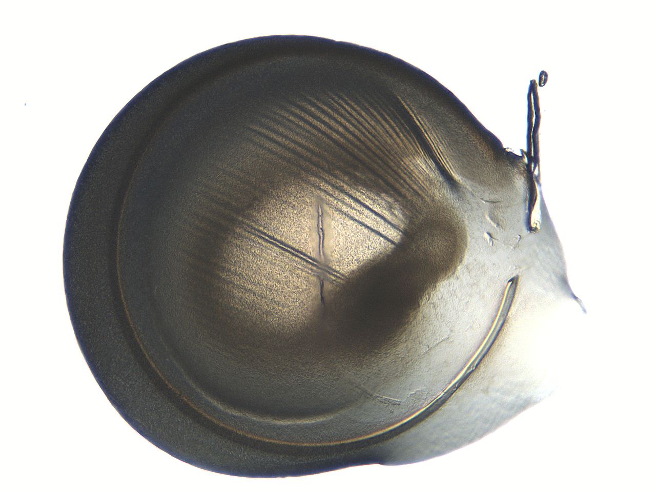 04i5_D7_ImagerDefaults_3.jpg