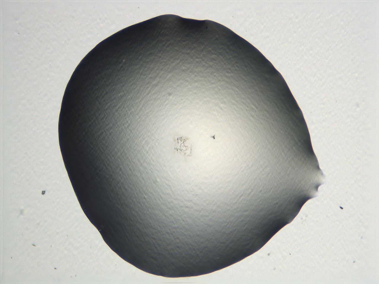 04i5_D8_ImagerDefaults_0.jpg