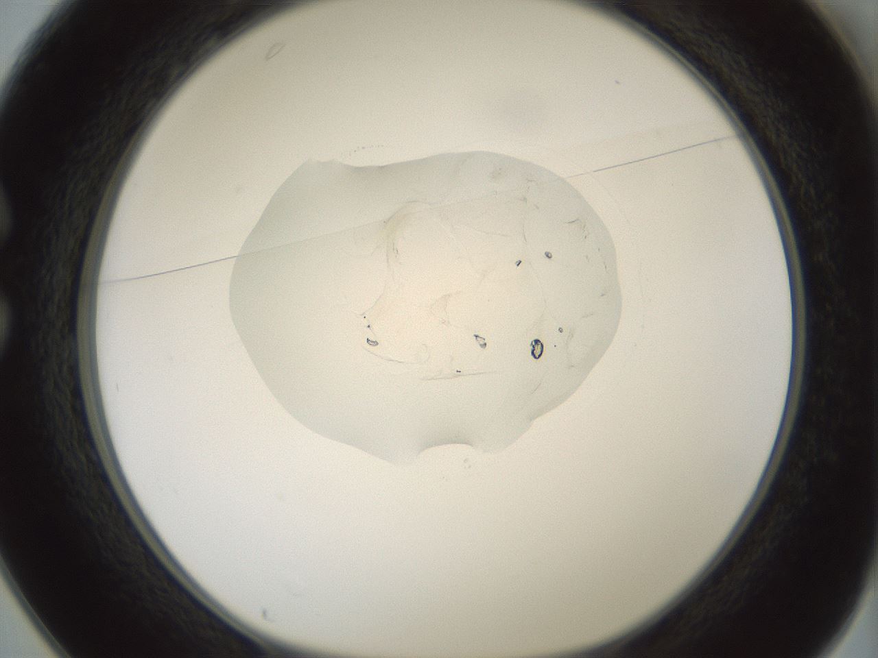 folderID415_plateID1415_batchID5139_wellNum25_profileID1_d1_r86922_ef.jpg
