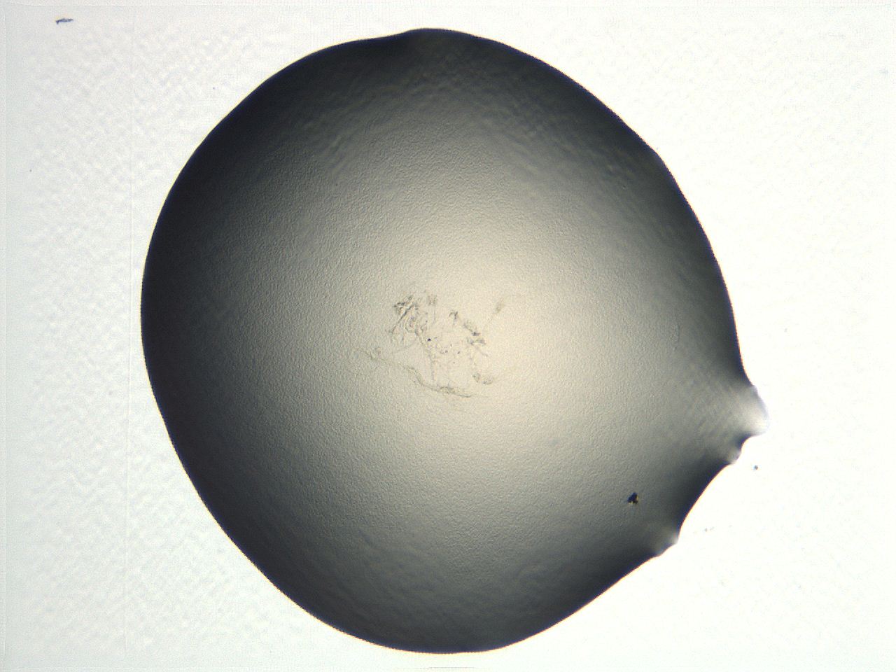 04i5_D9_ImagerDefaults_0.jpg