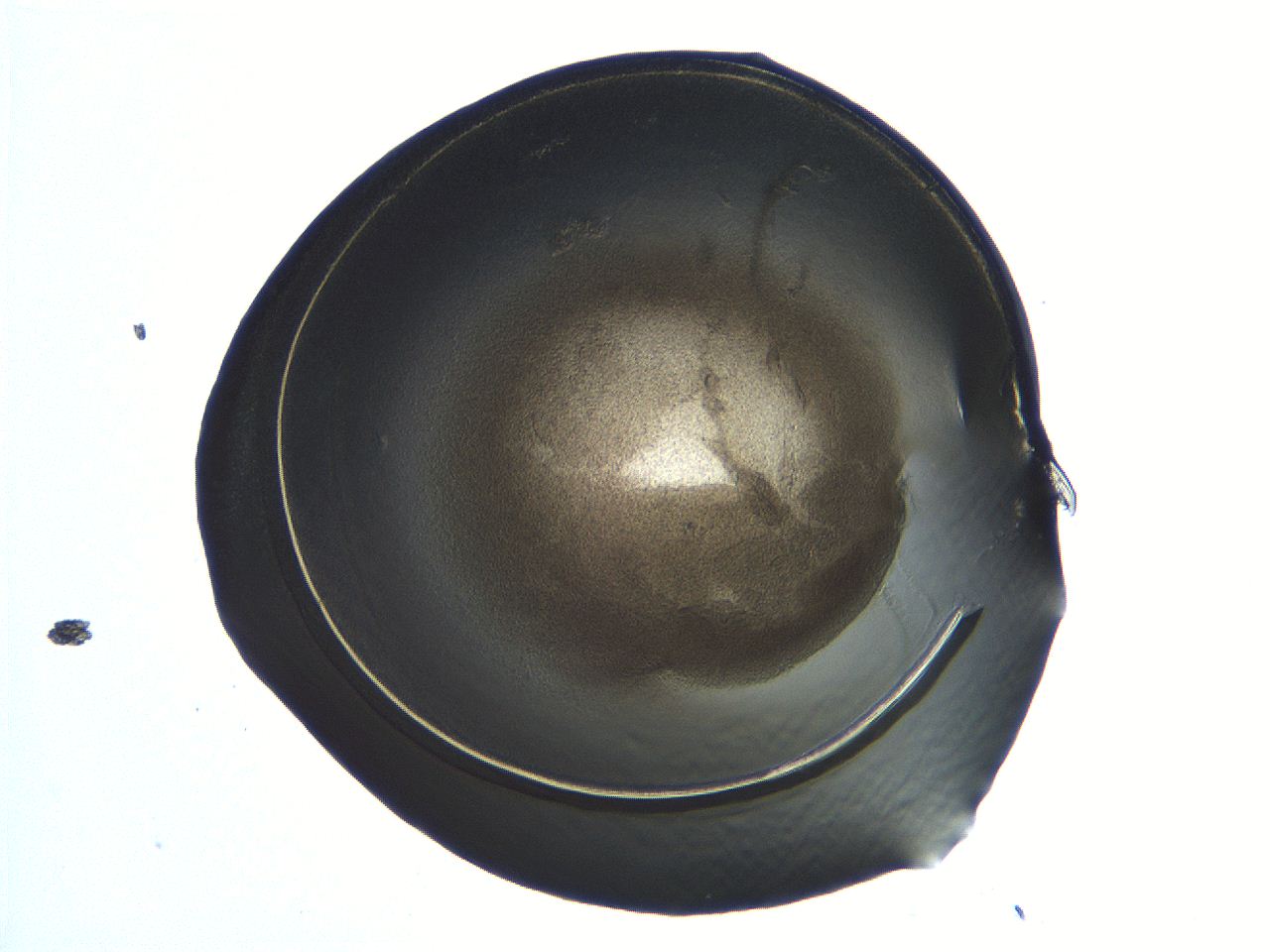 04i5_D10_ImagerDefaults_3.jpg