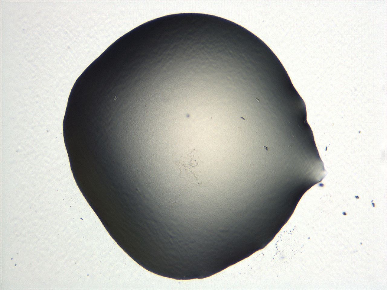 04i5_D11_ImagerDefaults_0.jpg