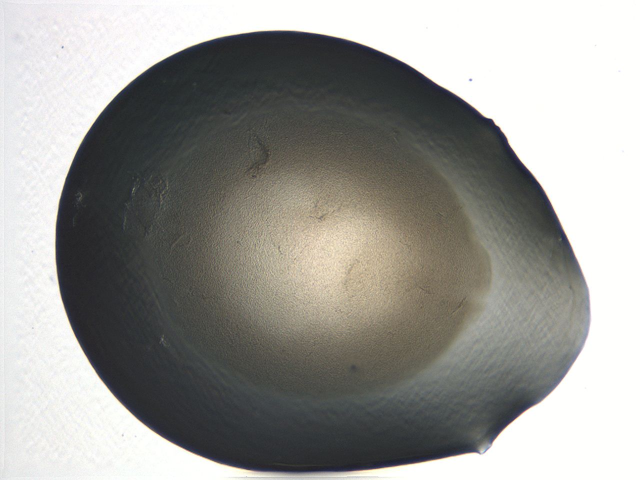 04i5_E4_ImagerDefaults_3.jpg