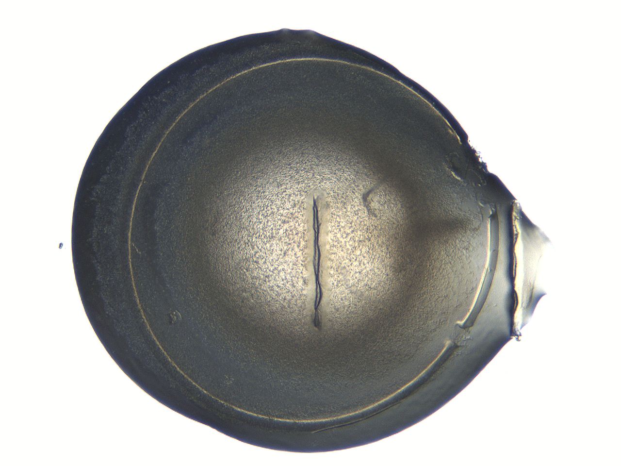 04i5_E7_ImagerDefaults_3.jpg