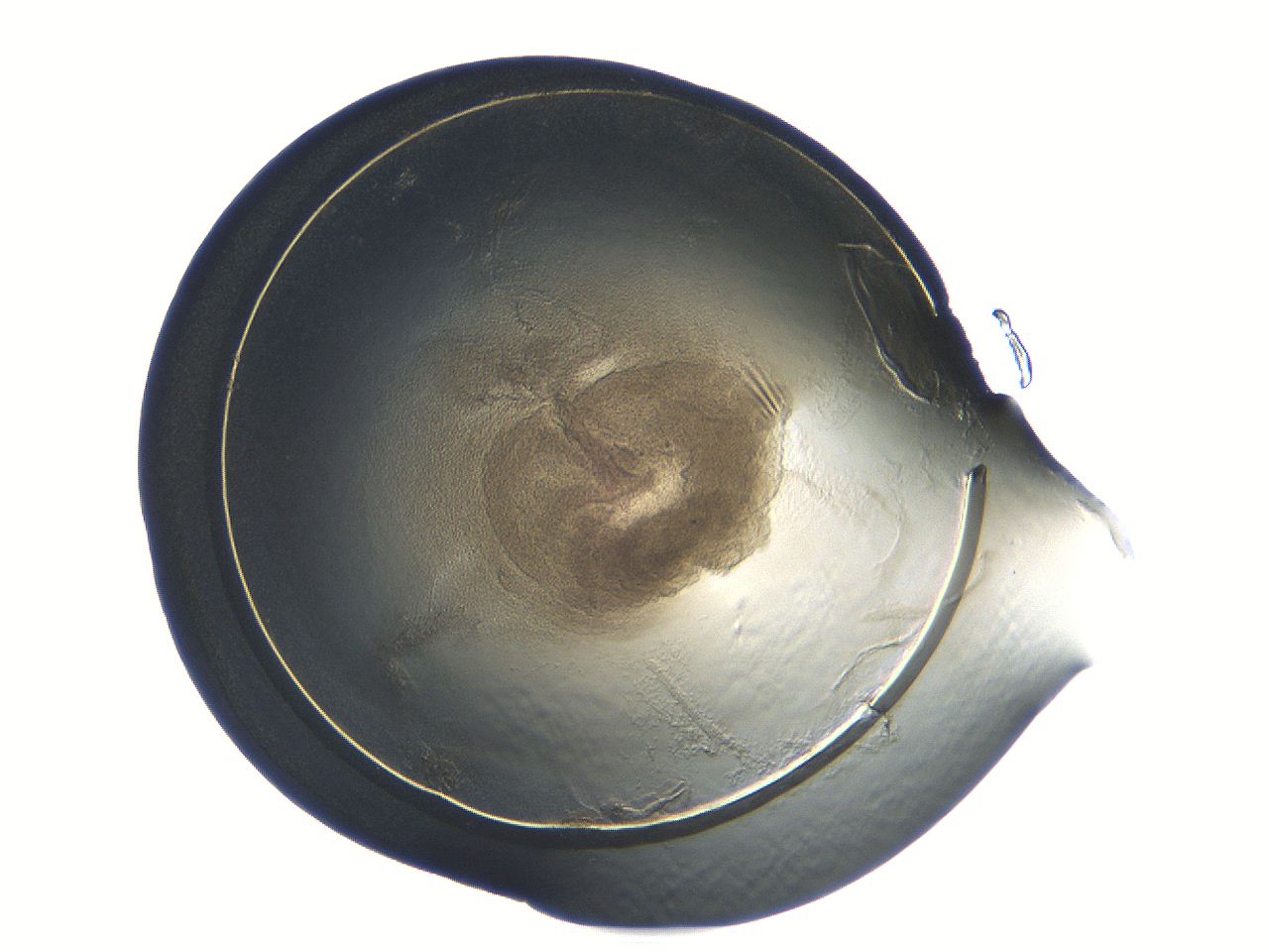 04i5_E8_ImagerDefaults_3.jpg