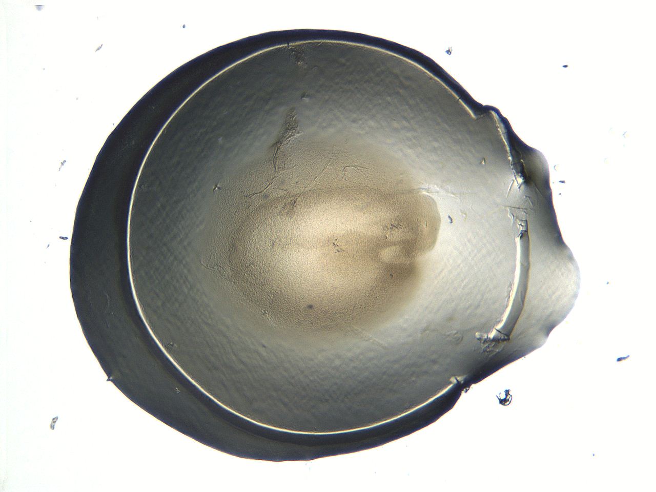 04i5_E9_ImagerDefaults_3.jpg