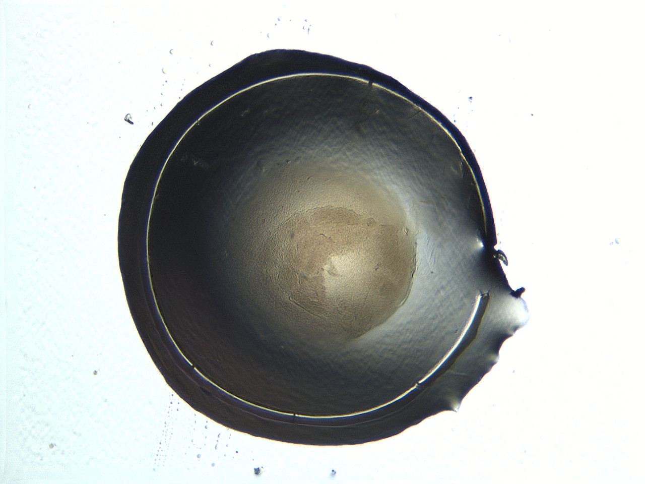 04i5_E10_ImagerDefaults_3.jpg