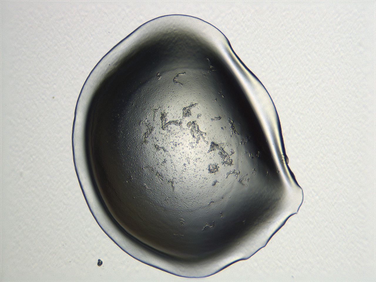 04i5_E11_ImagerDefaults_0.jpg