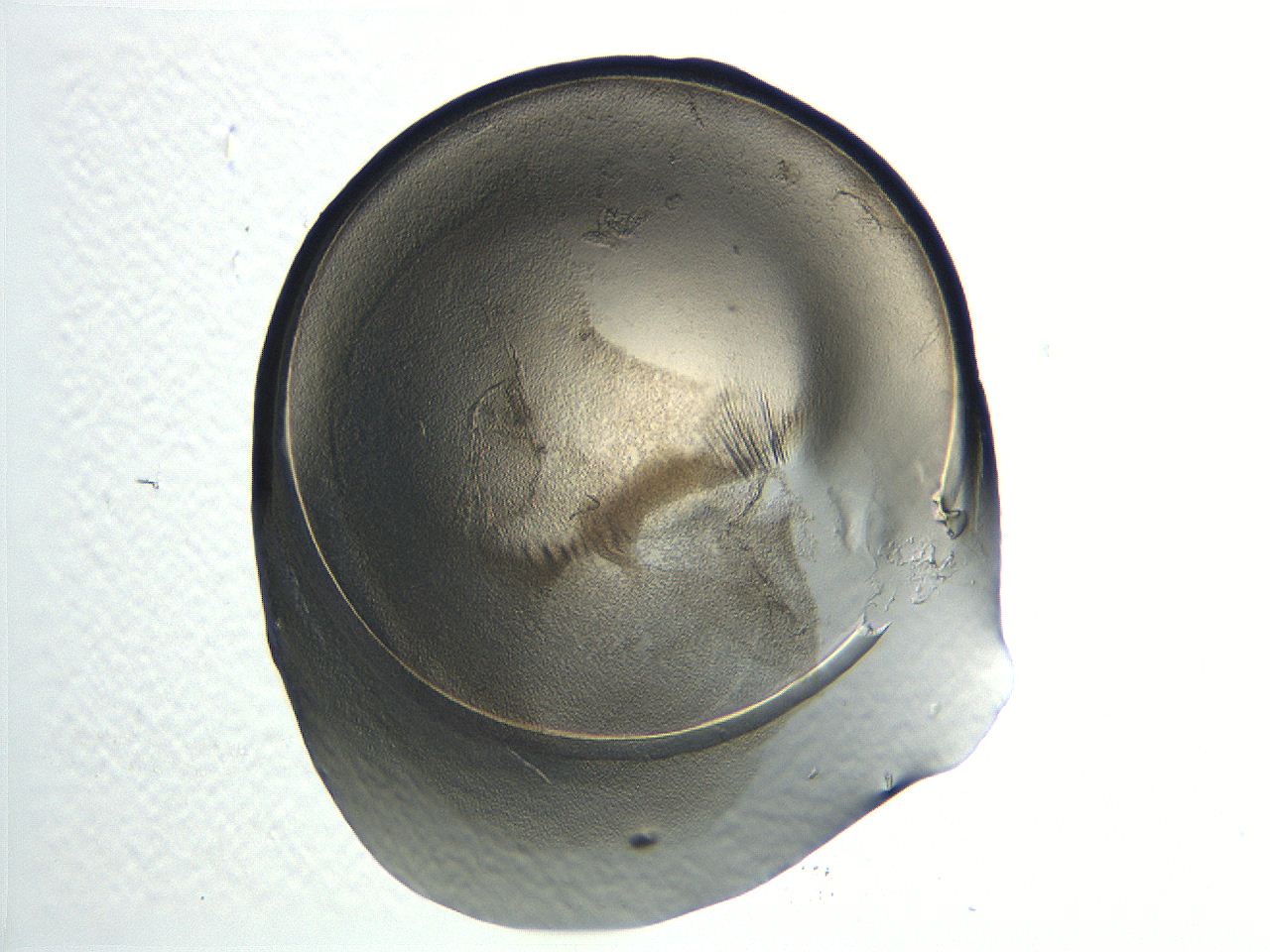 04i5_E12_ImagerDefaults_3.jpg