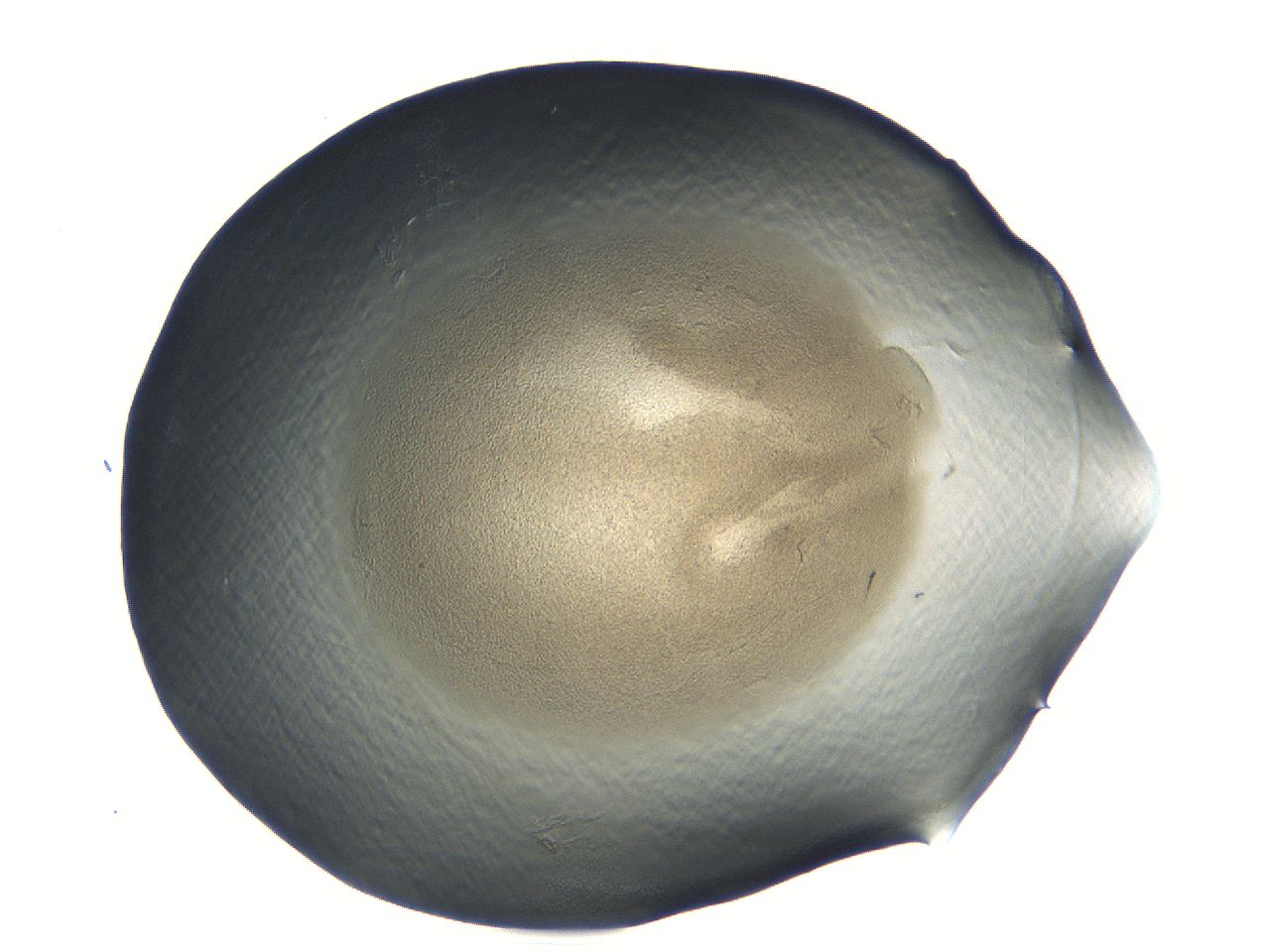 04i5_F5_ImagerDefaults_3.jpg