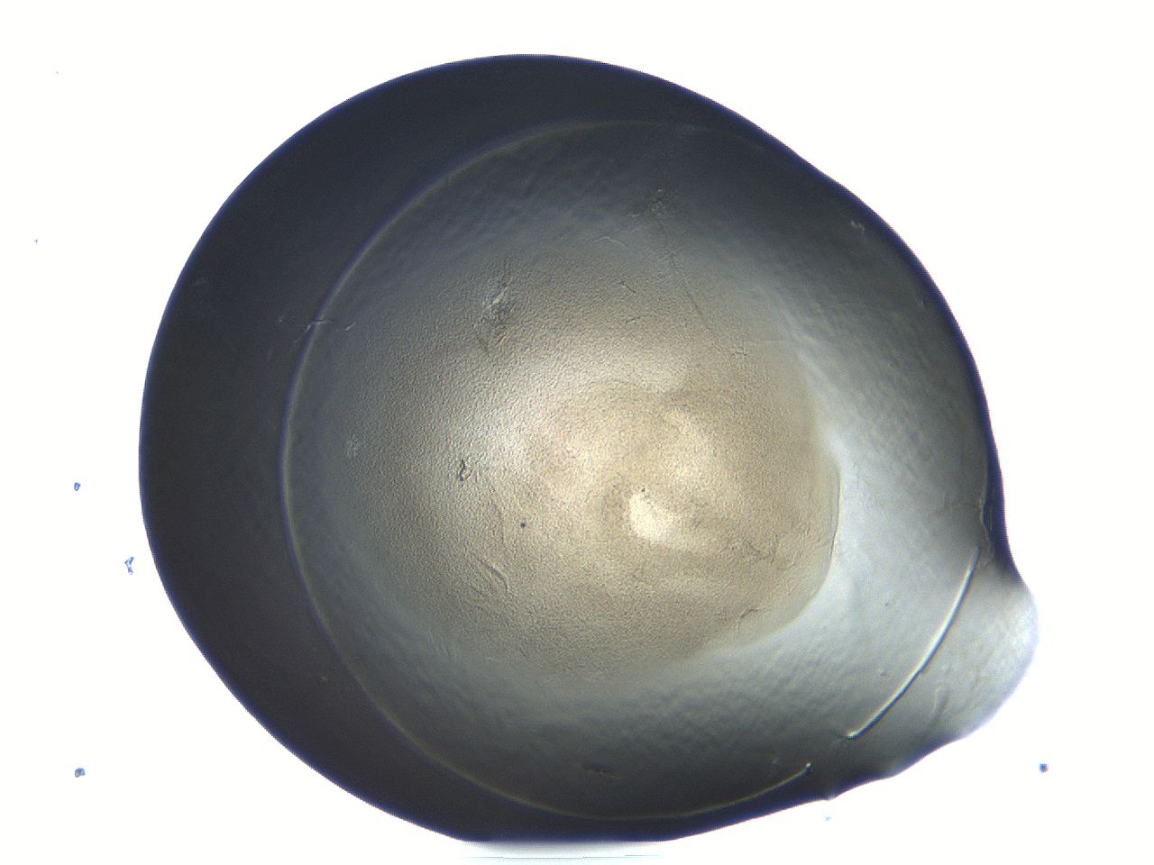 04i5_F6_ImagerDefaults_3.jpg