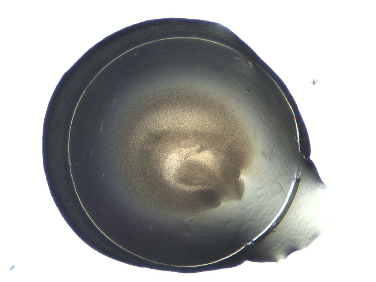 04i5_F10_ImagerDefaults_3.jpg