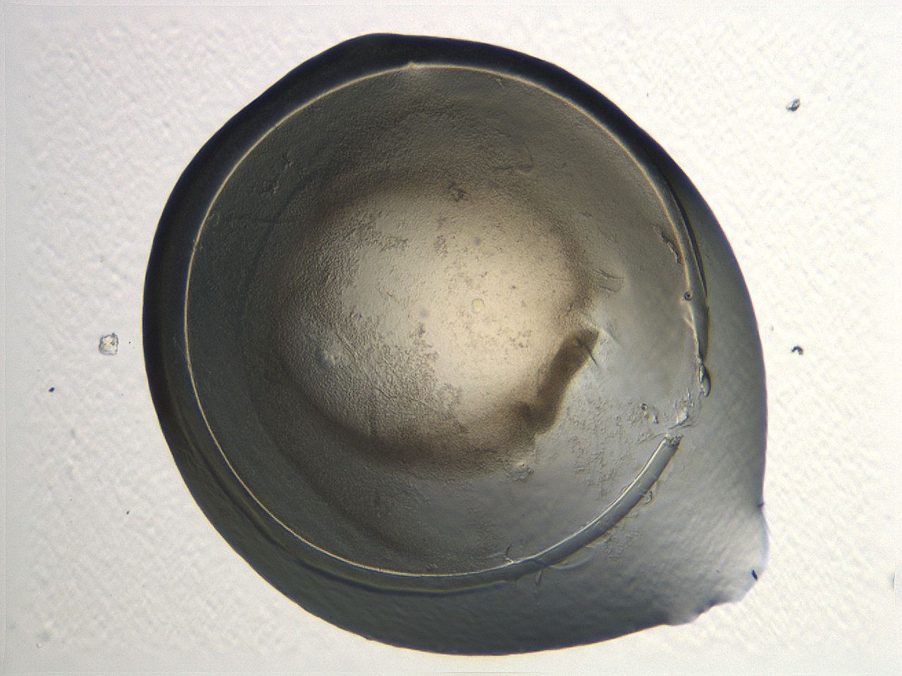 04i5_F11_ImagerDefaults_3.jpg