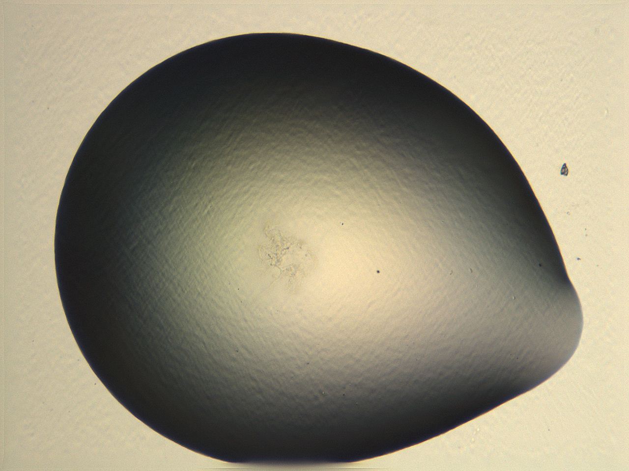 04i5_G2_ImagerDefaults_0.jpg