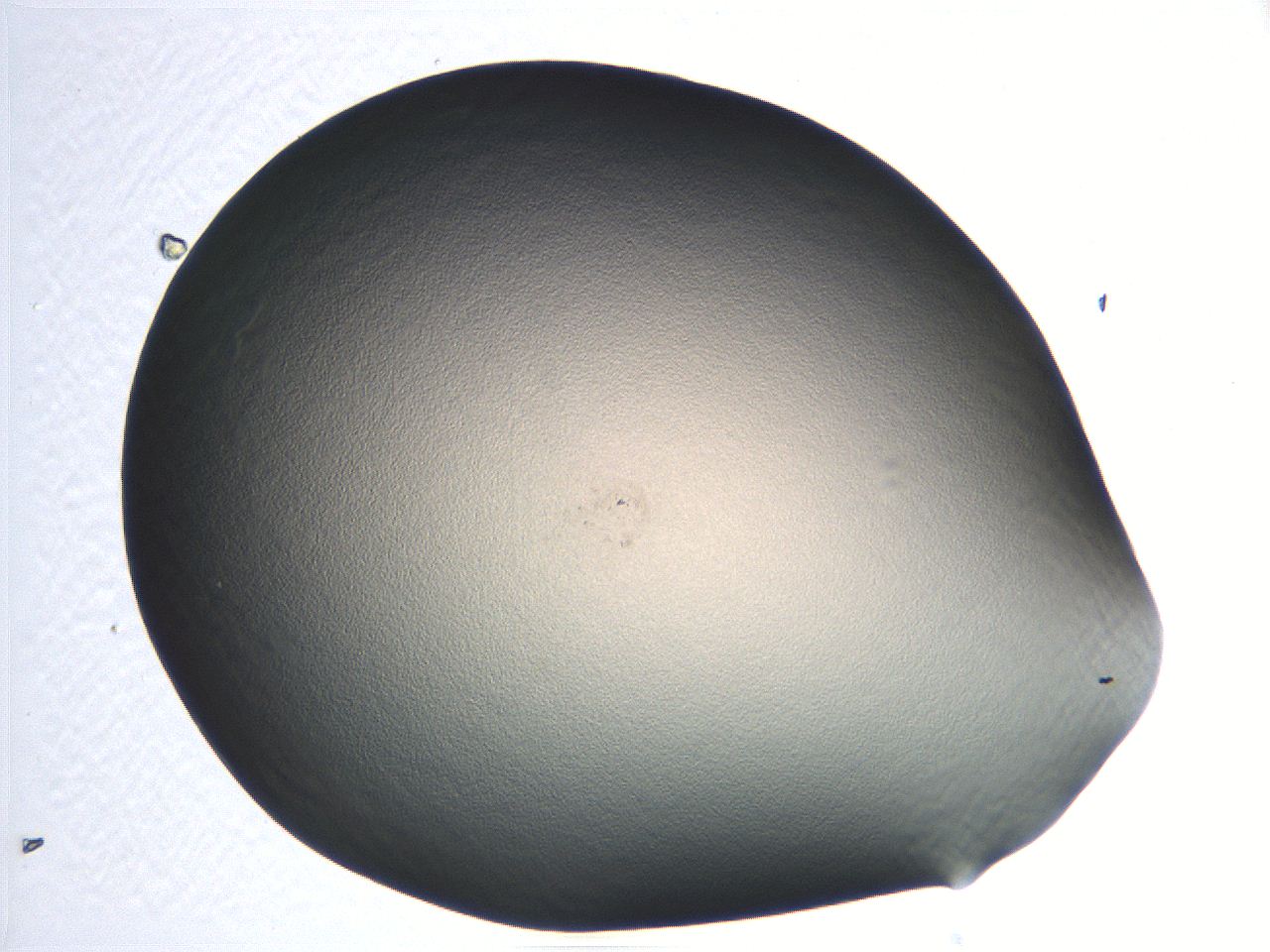 04i5_G3_ImagerDefaults_0.jpg