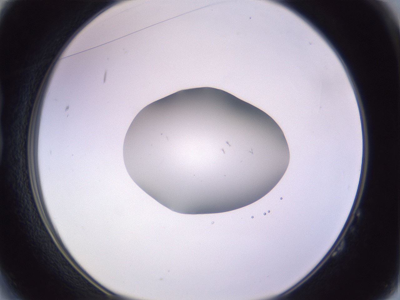 folderID423_plateID1423_batchID5291_wellNum14_profileID1_d1_r87487_ef.jpg