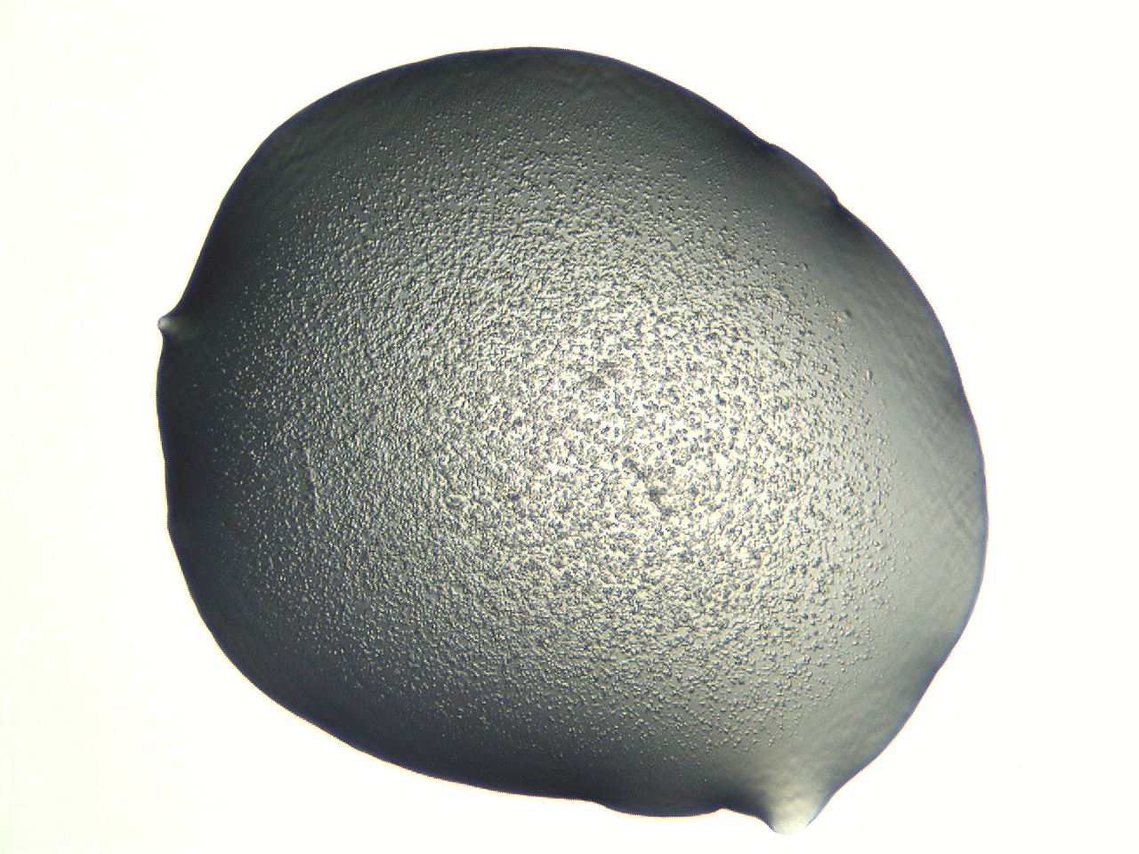 04i5_G6_ImagerDefaults_3.jpg