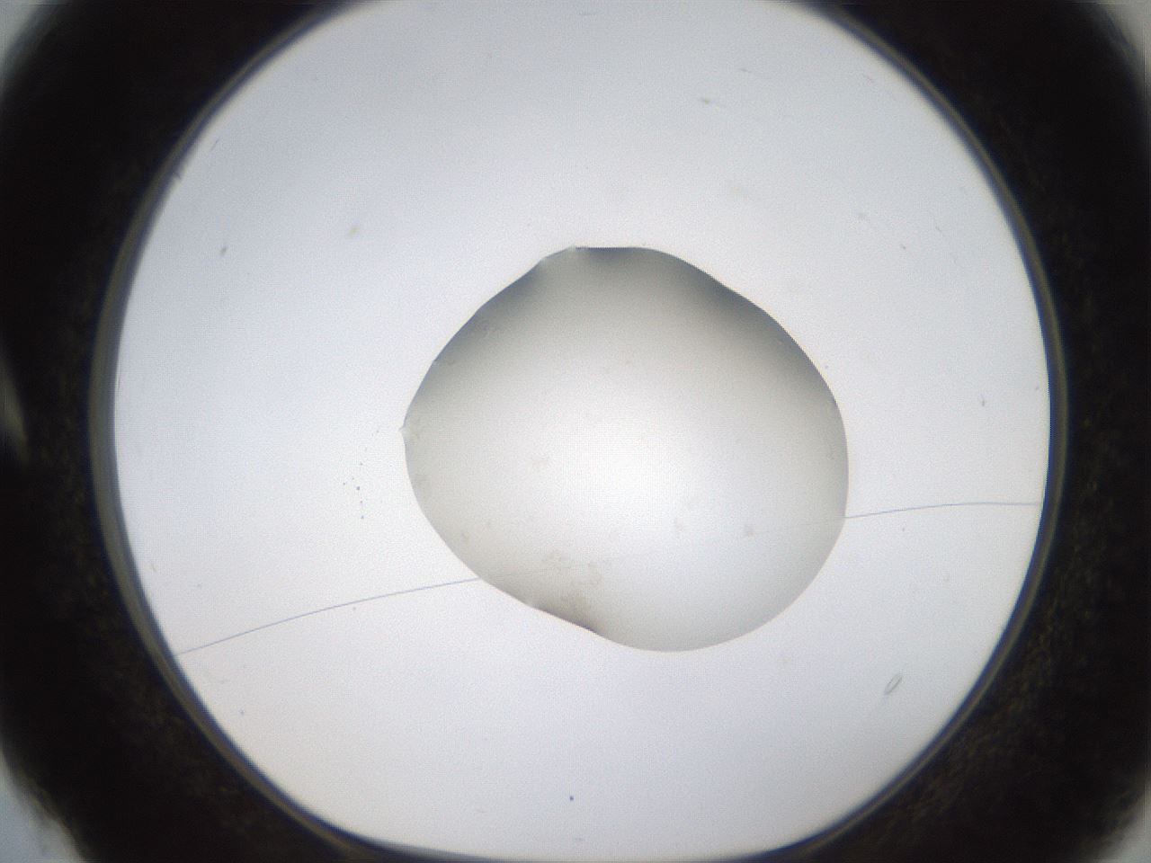 folderID424_plateID1424_batchID5141_wellNum4_profileID1_d1_r87093_ef.jpg