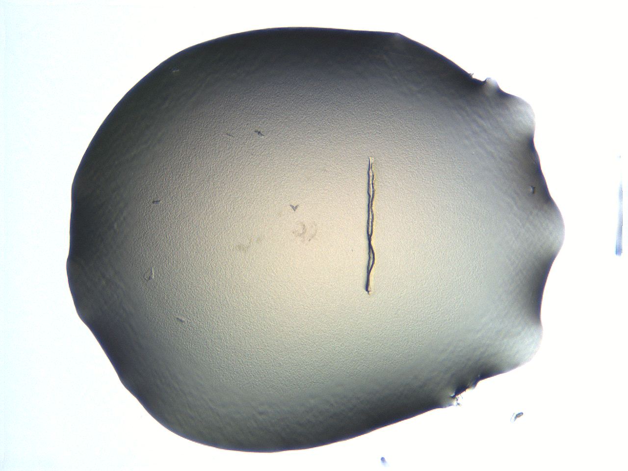 04i5_G7_ImagerDefaults_0.jpg