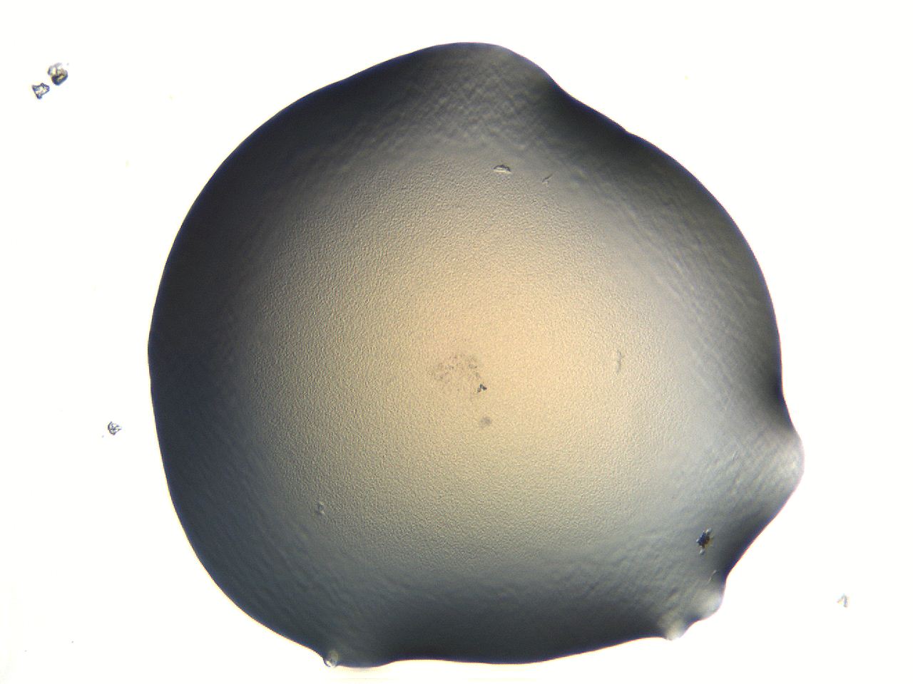 04i5_G8_ImagerDefaults_0.jpg