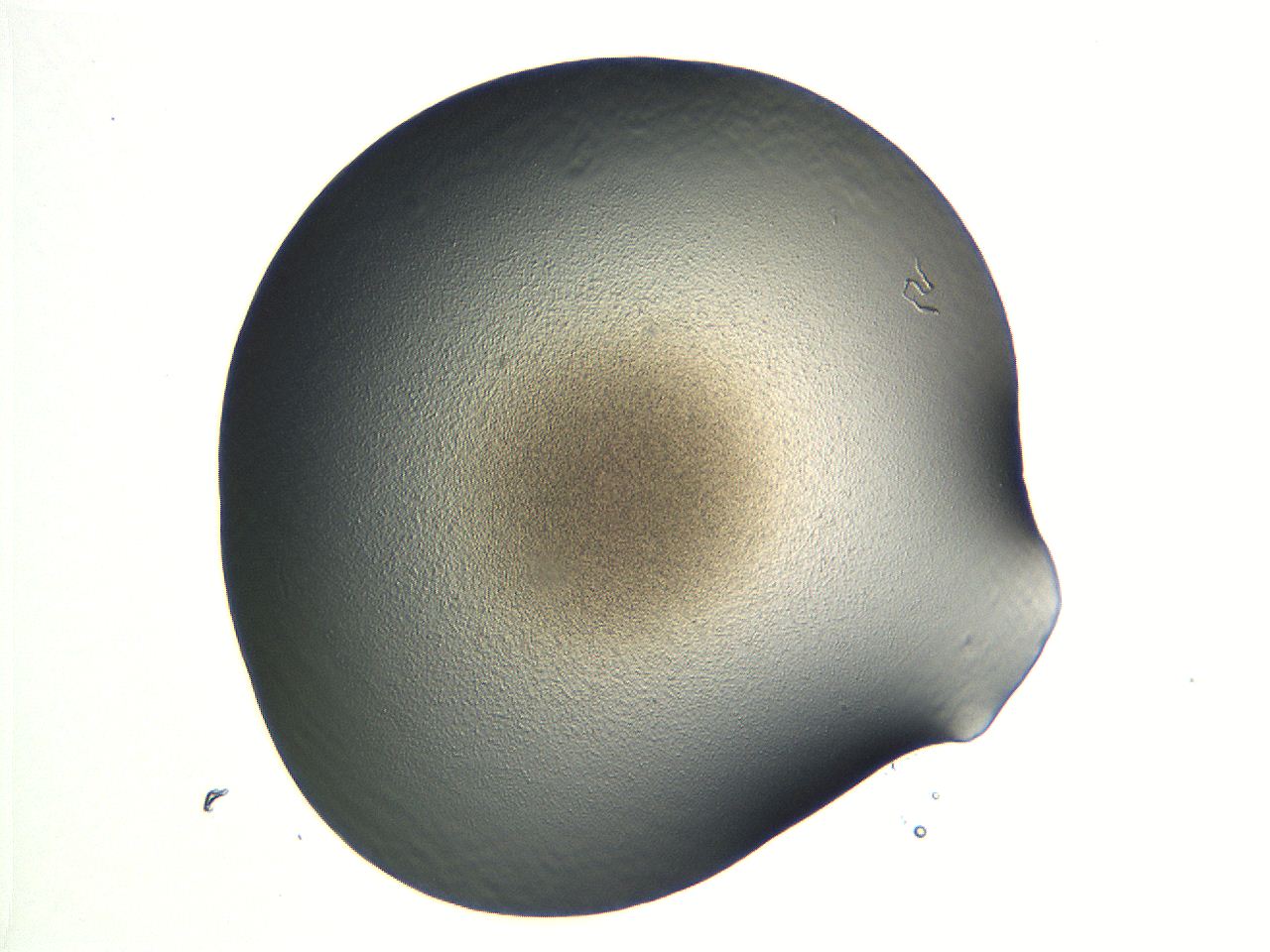 04i5_G9_ImagerDefaults_0.jpg