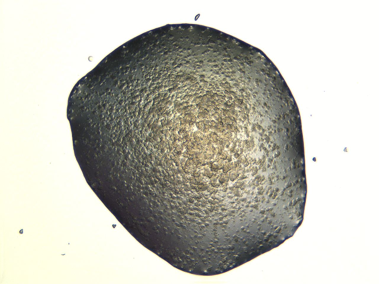 04i5_G10_ImagerDefaults_6.jpg