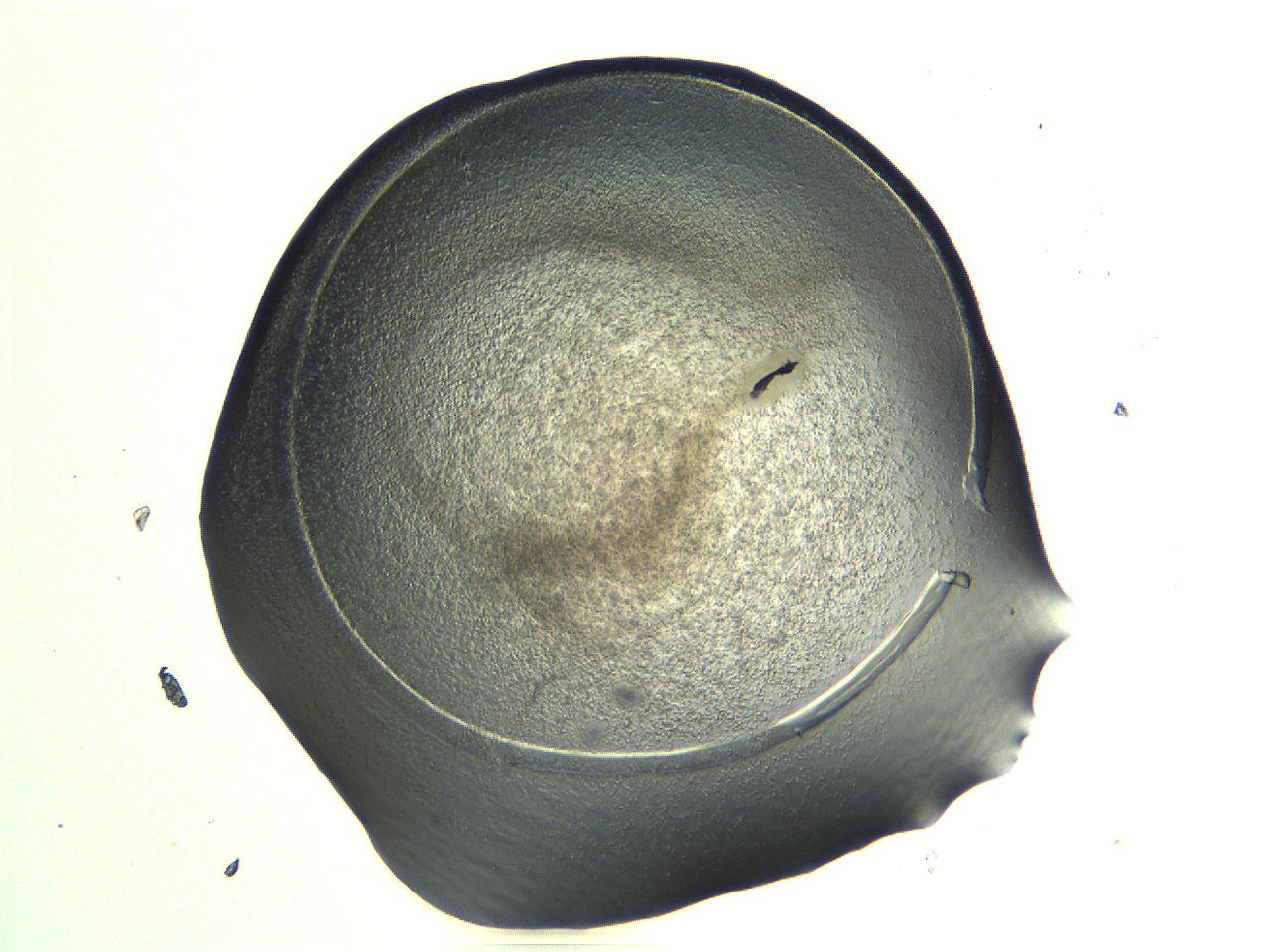 04i5_G11_ImagerDefaults_3.jpg