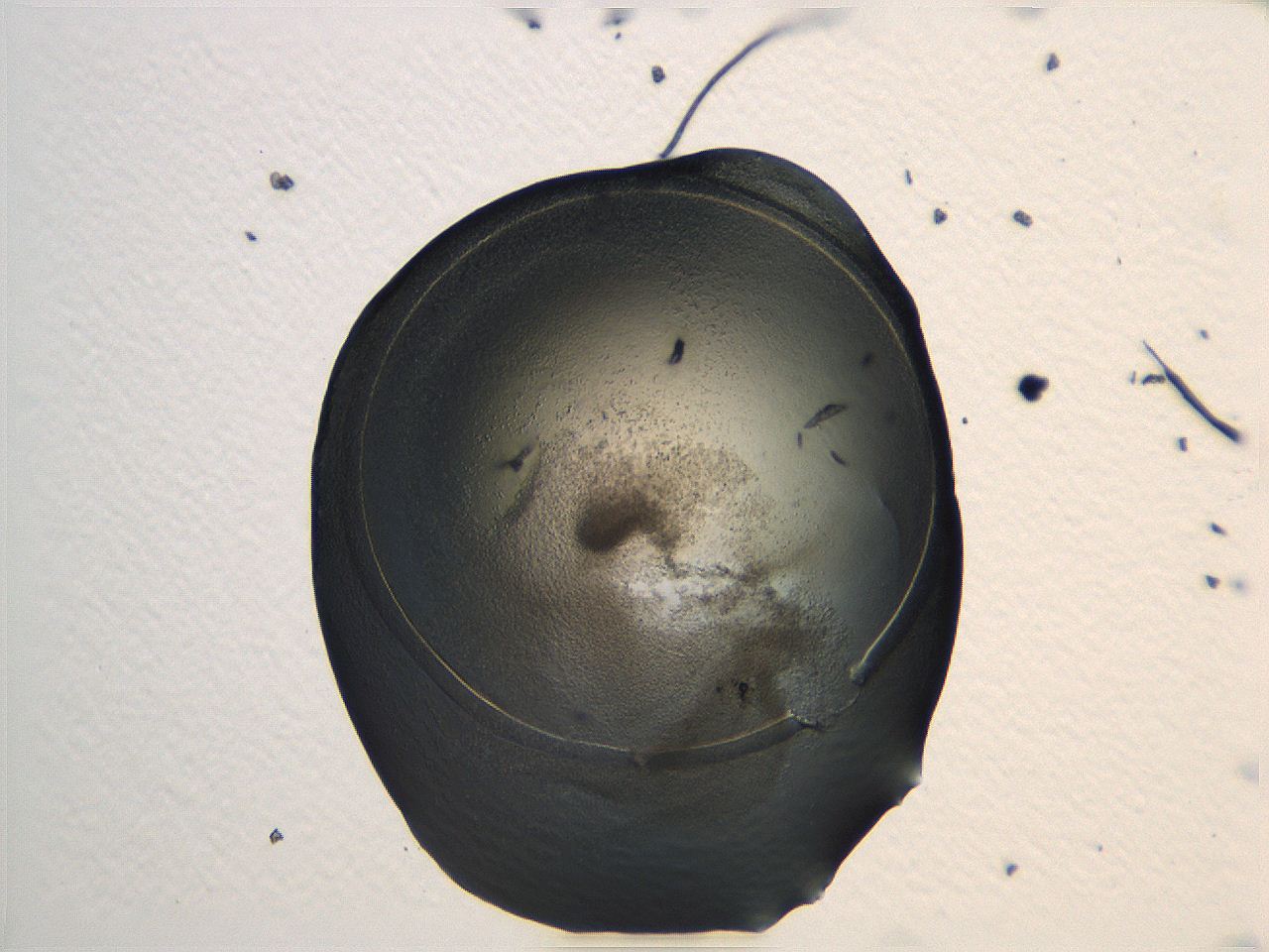 04i5_G12_ImagerDefaults_3.jpg