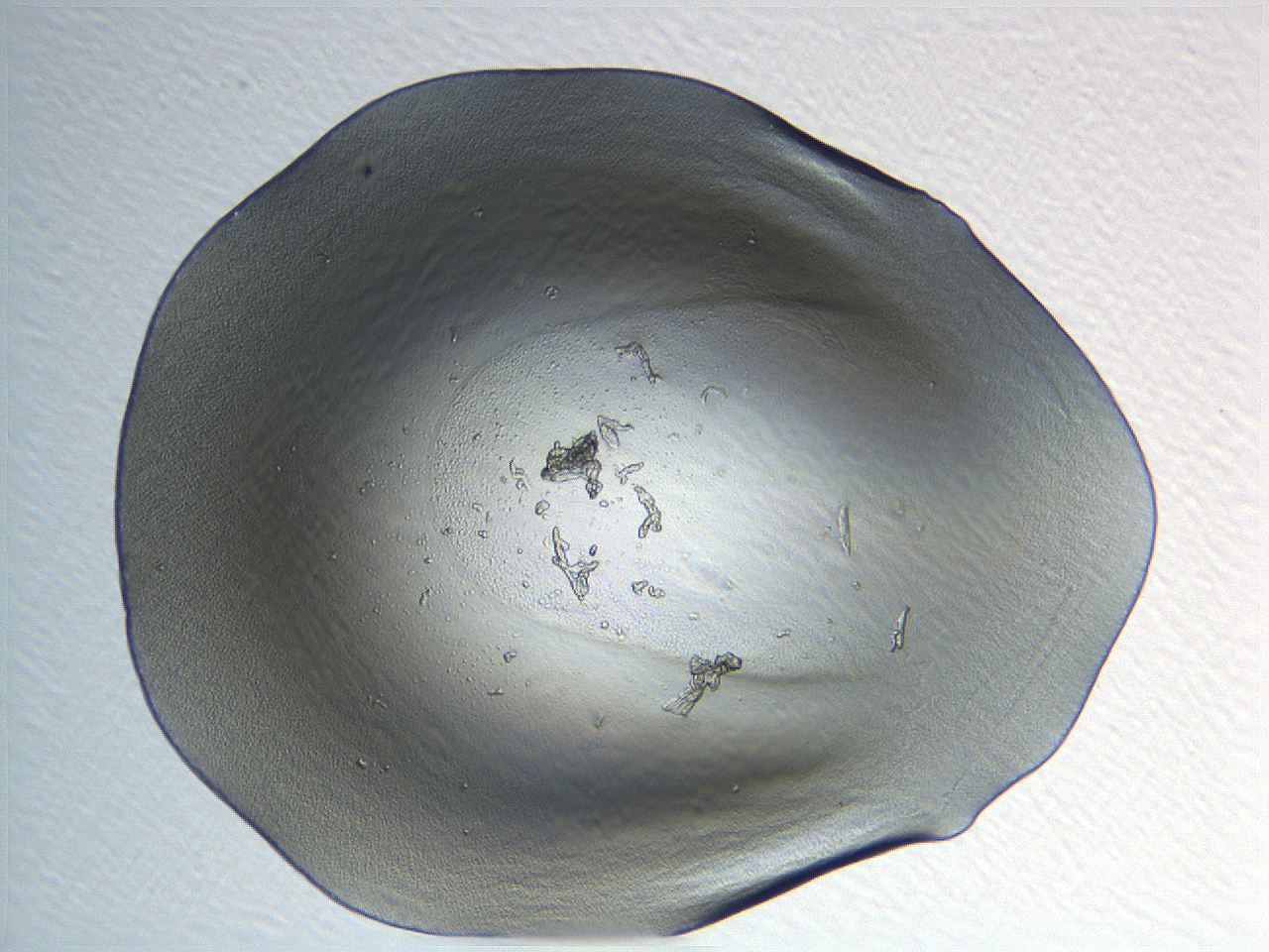 04i5_H1_ImagerDefaults_0.jpg