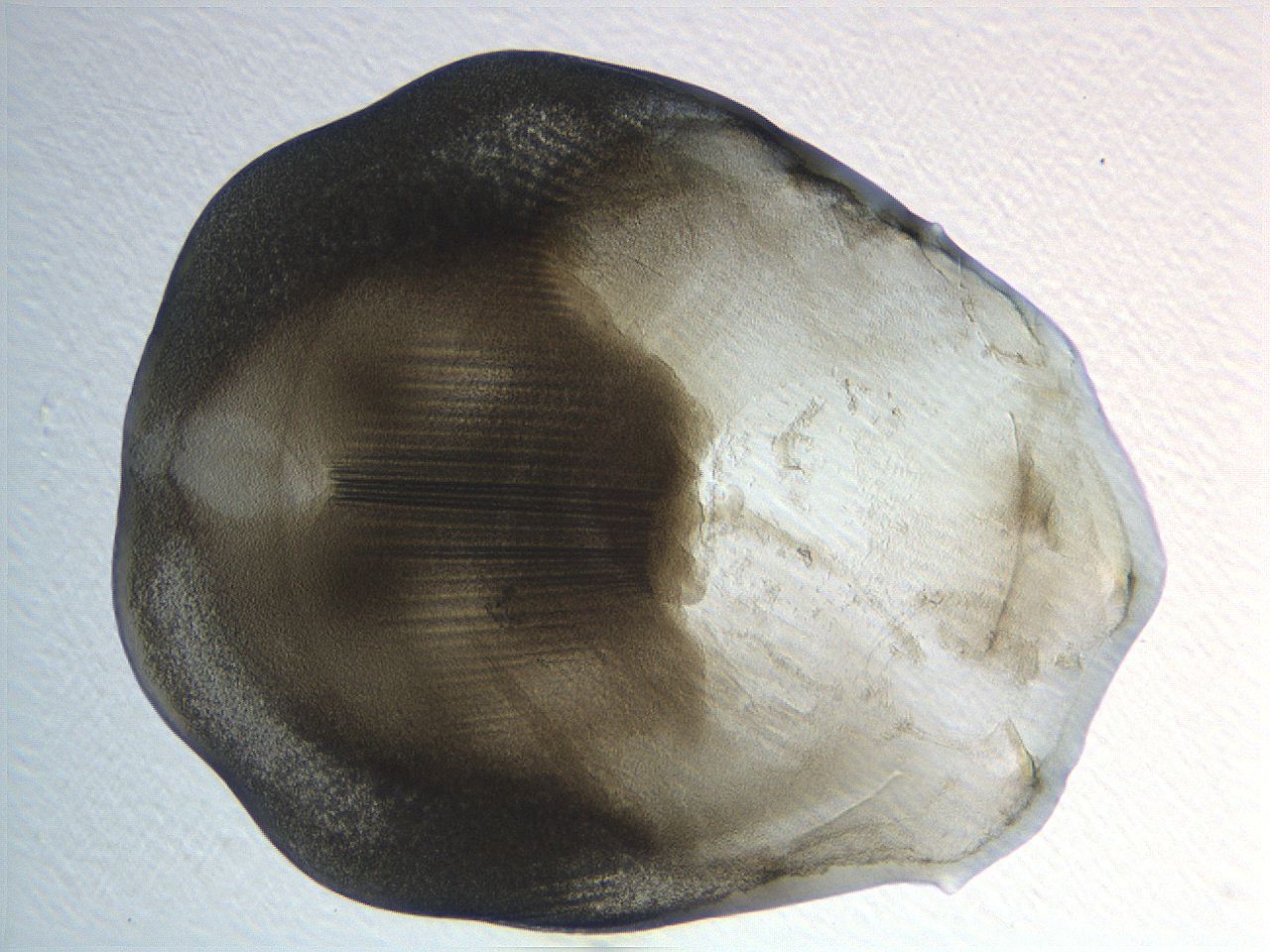 04i5_H5_ImagerDefaults_3.jpg