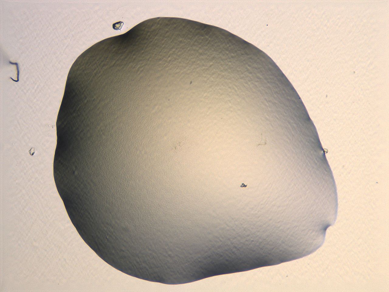 04i5_H6_ImagerDefaults_0.jpg