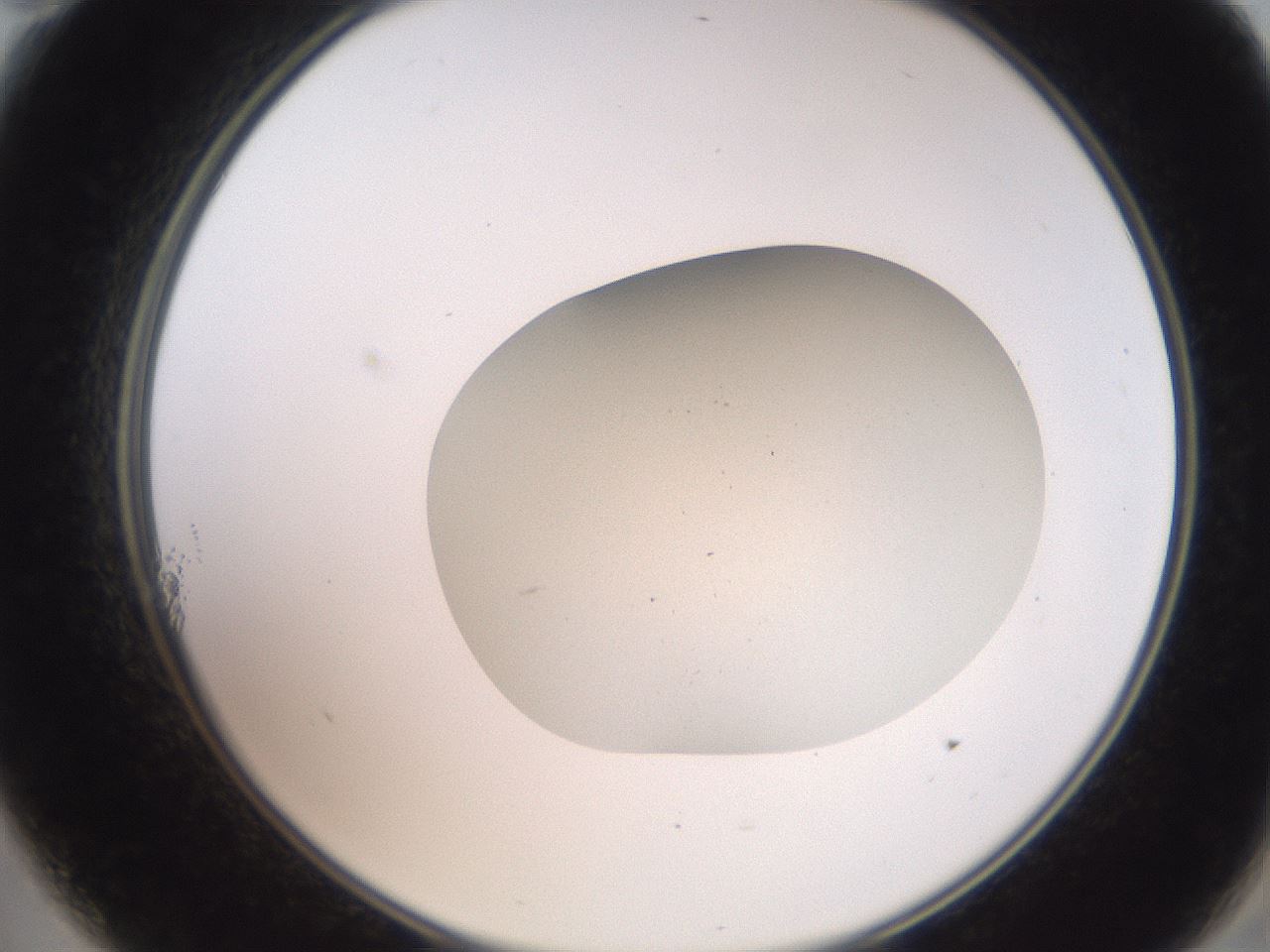 folderID426_plateID3426_batchID20038_wellNum11_profileID1_d2_r304315_ef.jpg